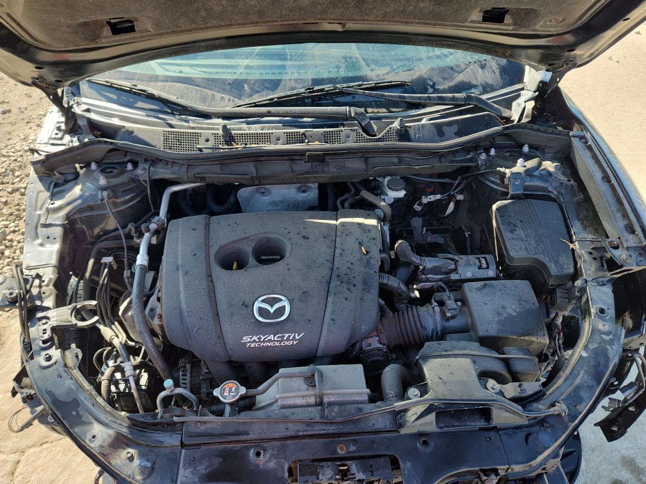 2014 Mazda Cx-5 Touring VIN: JM3KE4CY3E0304246 Lot: 84063375