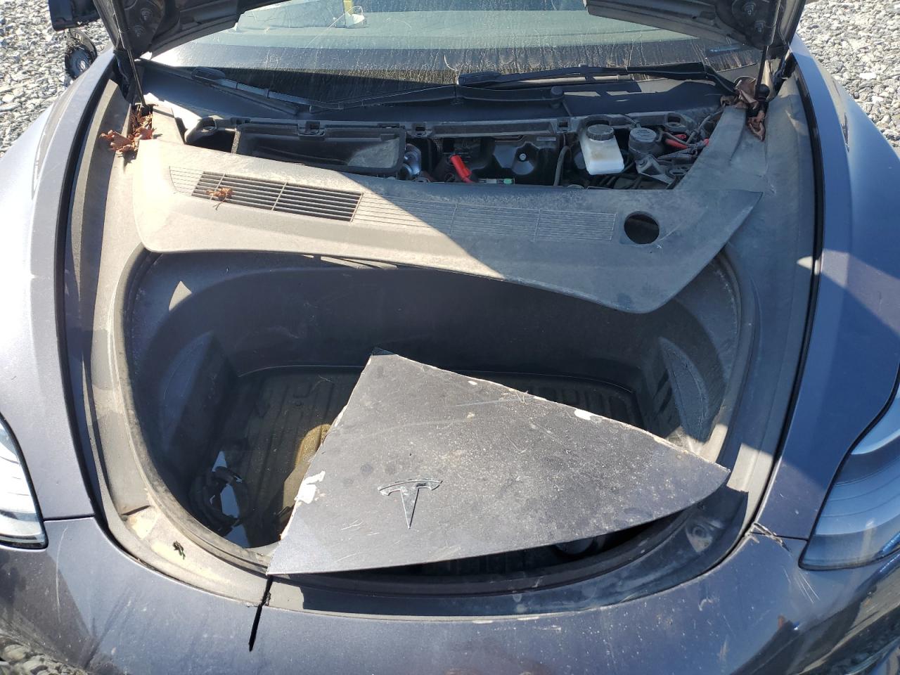 2023 Tesla Model 3 VIN: 5YJ3E1EAXPF646759 Lot: 89442145