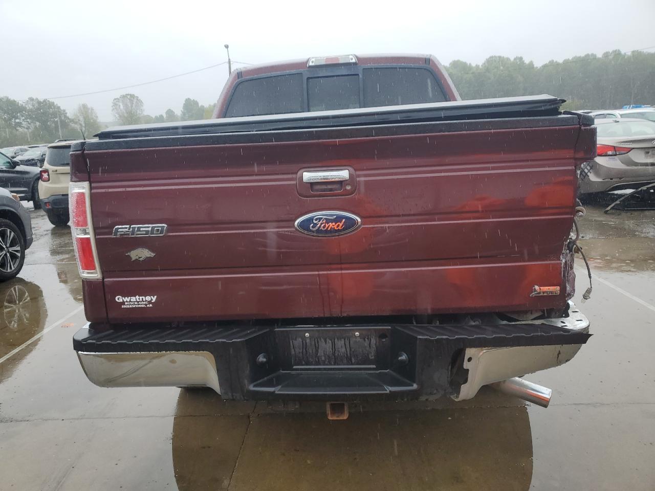 2010 Ford F150 Supercrew VIN: 1FTFW1EV8AKE25166 Lot: 85304275