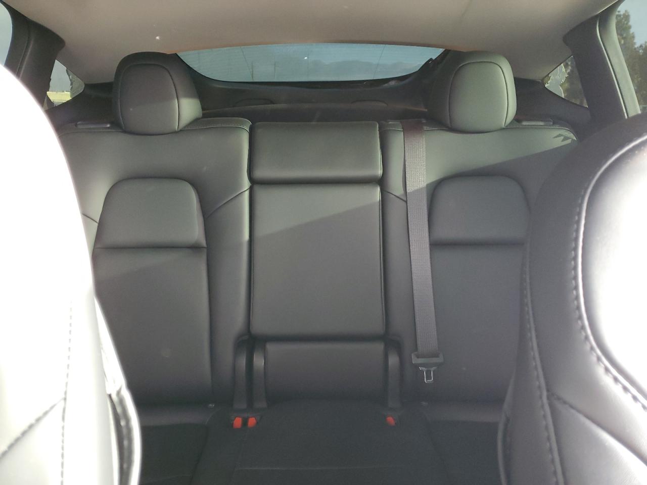 2023 Tesla Model Y VIN: 7SAYGDEE2PF928790 Lot: 84395625