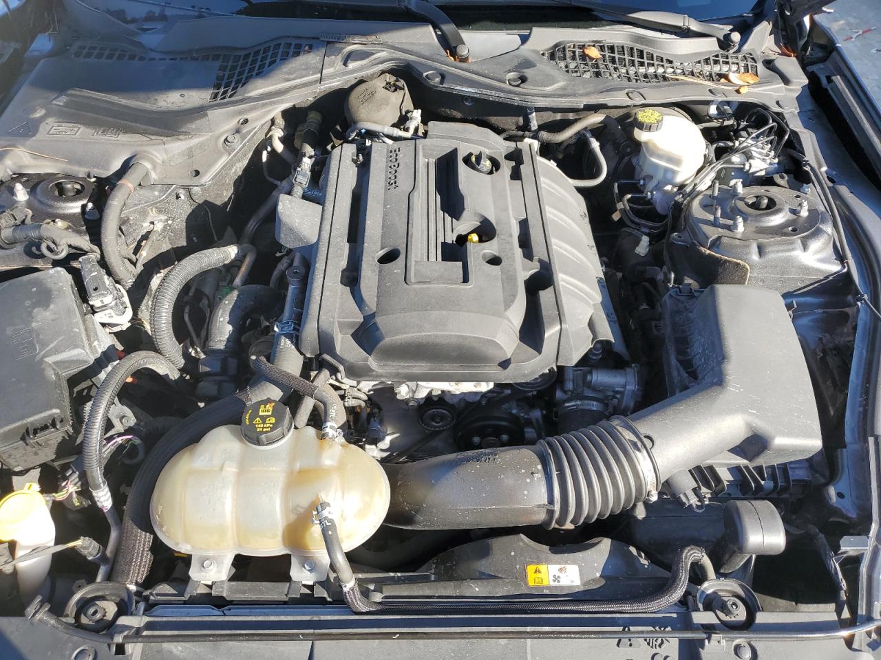 2018 Ford Mustang VIN: 1FA6P8TH5J5102068 Lot: 87439975