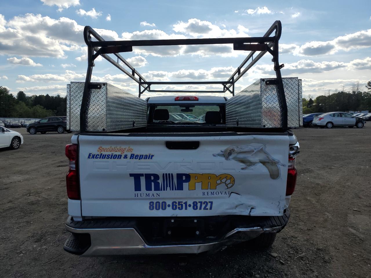 2021 Chevrolet Silverado C1500 VIN: 3GCNWAEF6MG480358 Lot: 84456265