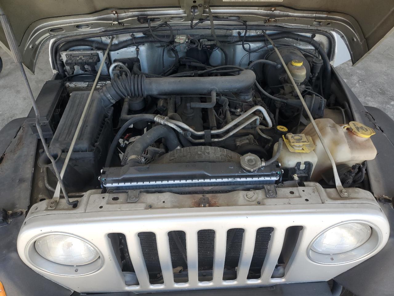 2003 Jeep Wrangler / Tj Rubicon VIN: 1J4FA69S23P375067 Lot: 82678265