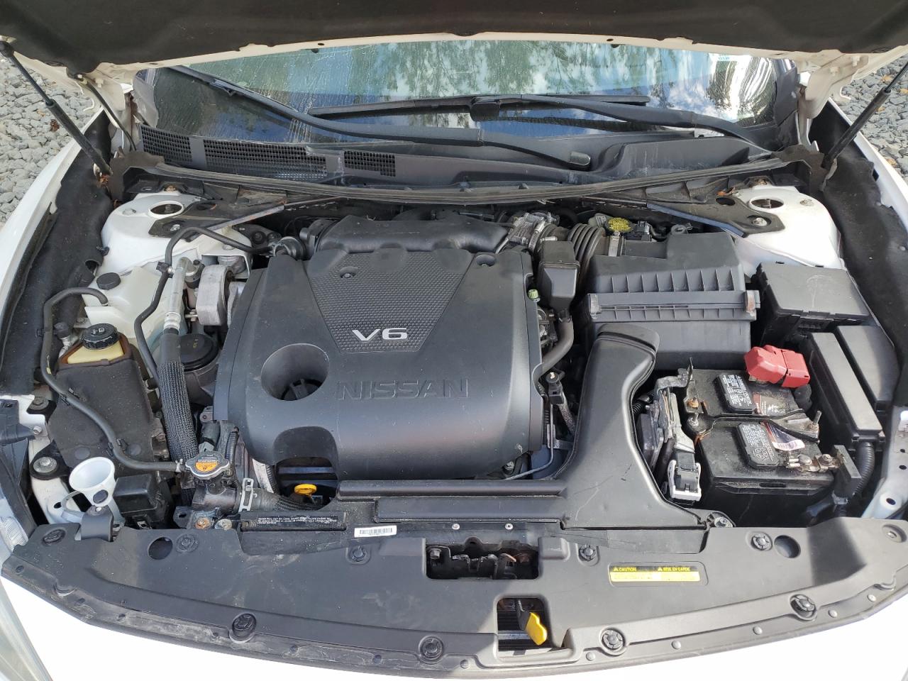 2016 Nissan Maxima 3.5S VIN: 1N4AA6AP7GC448654 Lot: 82287905