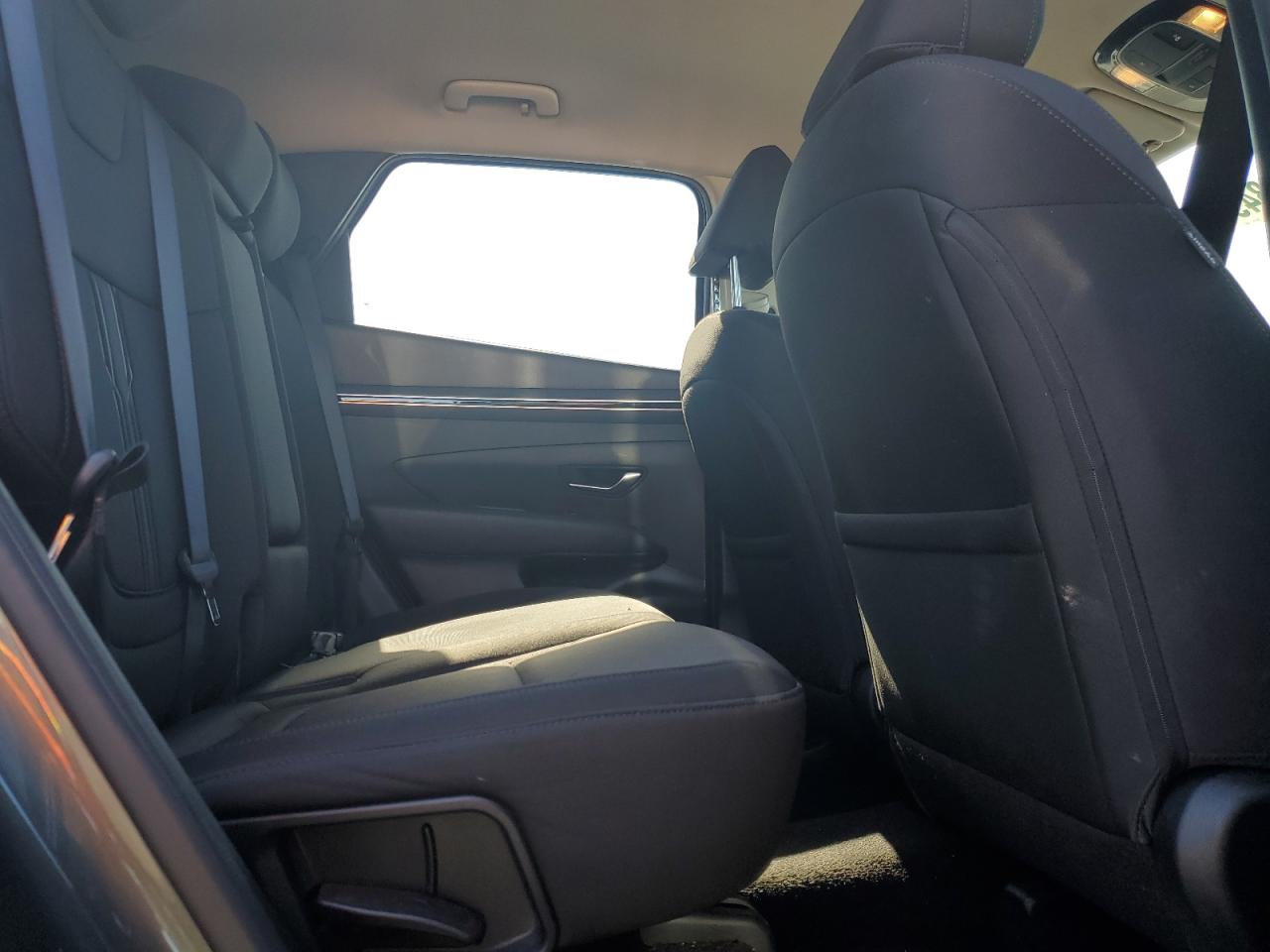 2023 Hyundai Tucson Sel VIN: 5NMJBCAE3PH196455 Lot: 84937325