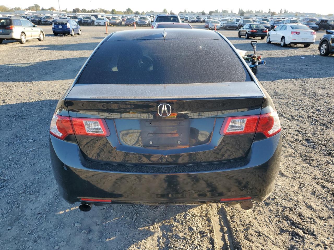 2010 Acura Tsx VIN: JH4CU2F67AC010953 Lot: 90379425