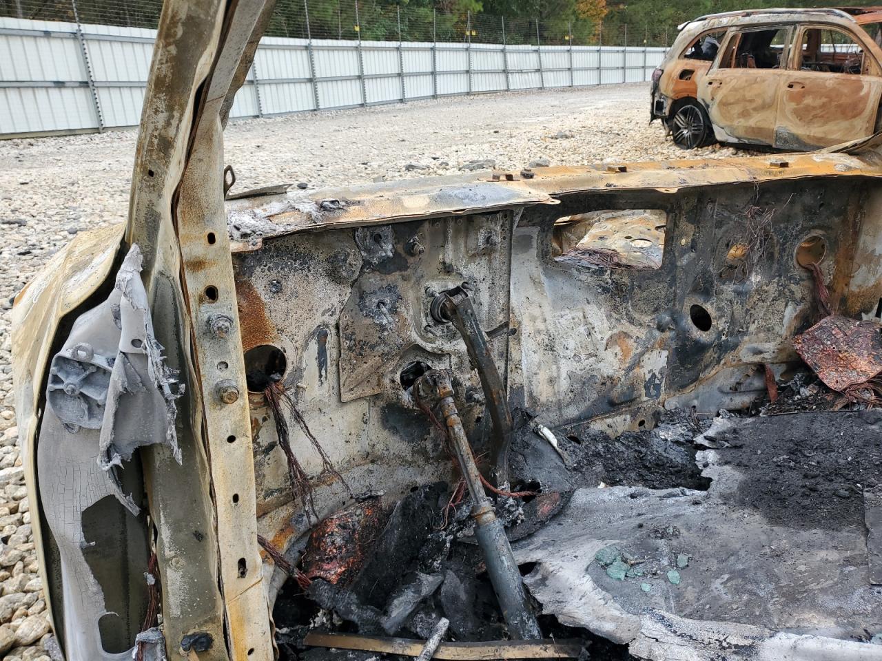 2020 Tesla Model Y VIN: 5YJYGDEF5LF003436 Lot: 90668745