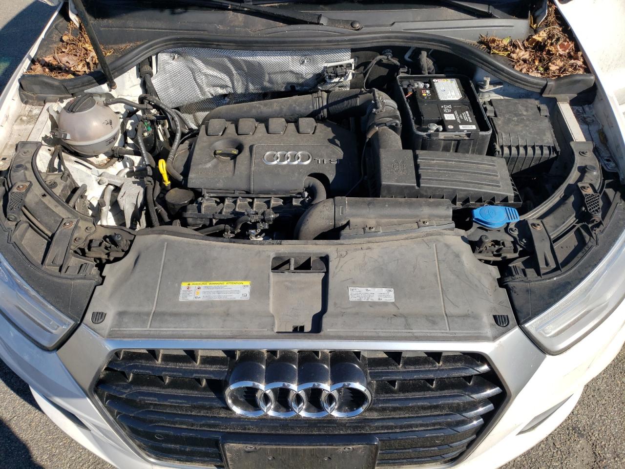 2017 Audi Q3 Premium Plus VIN: WA1JCCFS9HR010243 Lot: 89616245