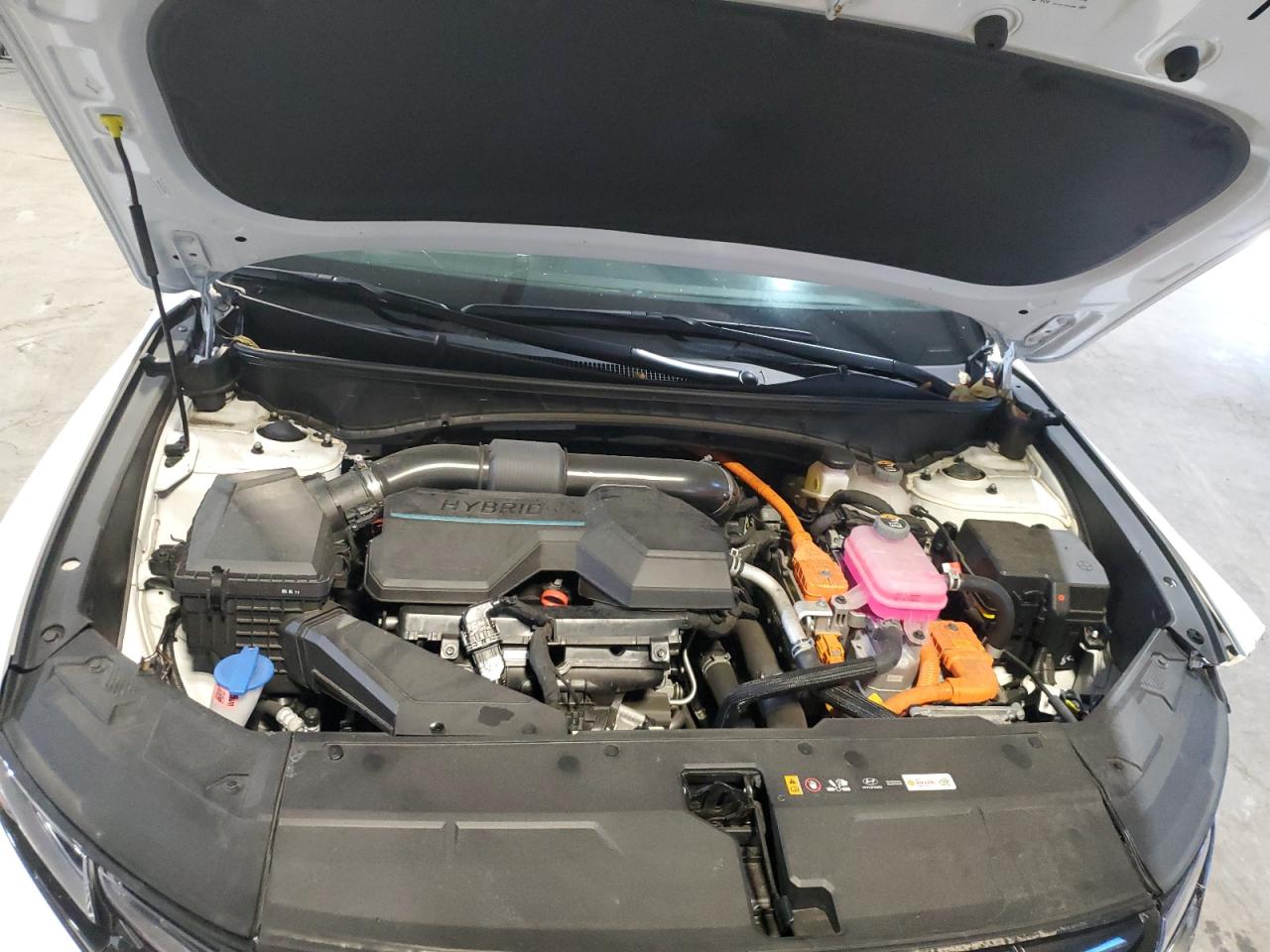 2024 Hyundai Tucson Blue VIN: KM8JBCD15RU240004 Lot: 86237955