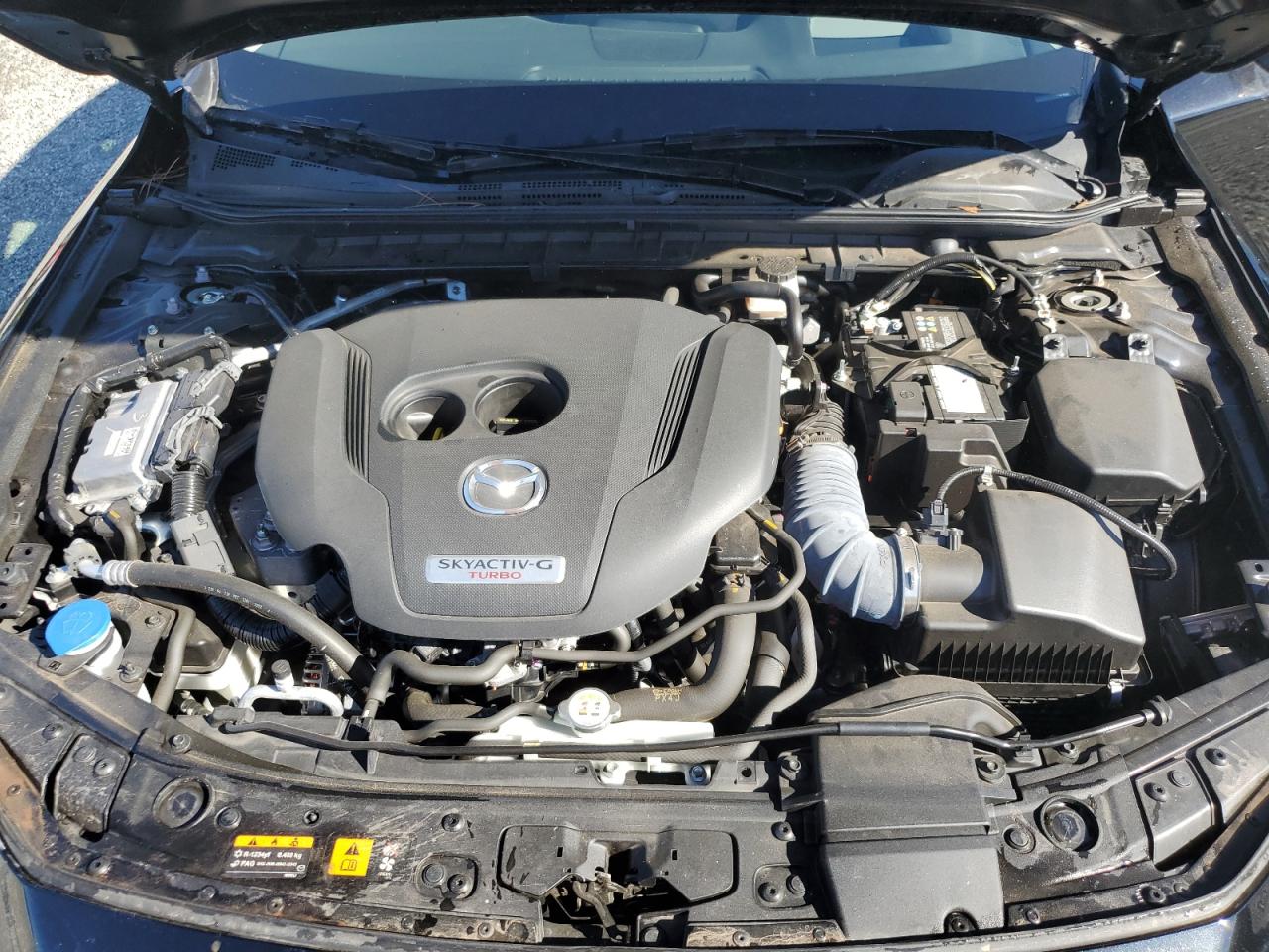 2023 Mazda 3 Premium Plus VIN: 3MZBPBEY7PM381896 Lot: 87440635