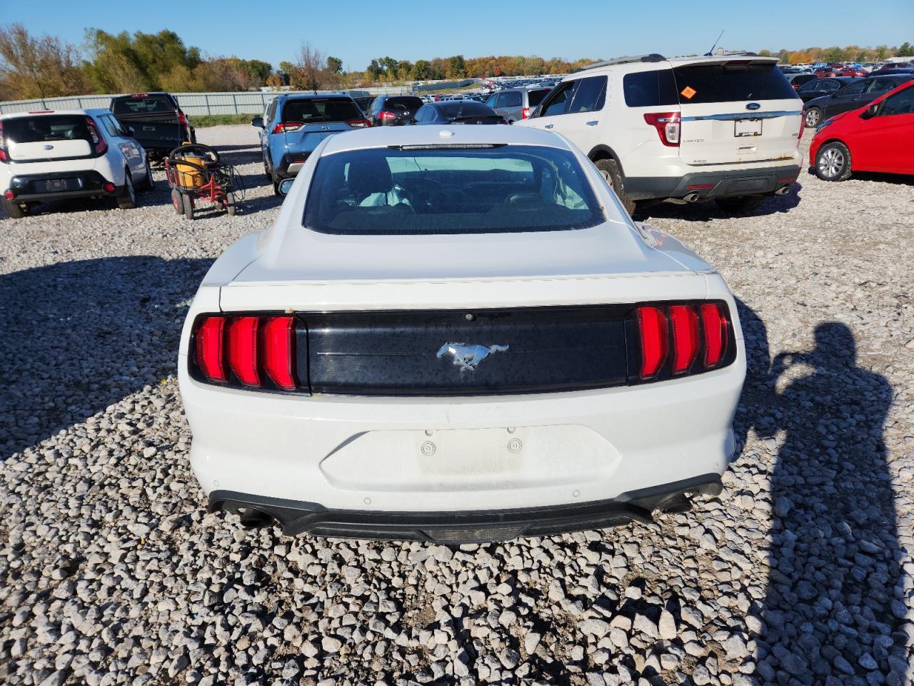 2018 Ford Mustang VIN: 1FA6P8TH2J5156508 Lot: 82541055
