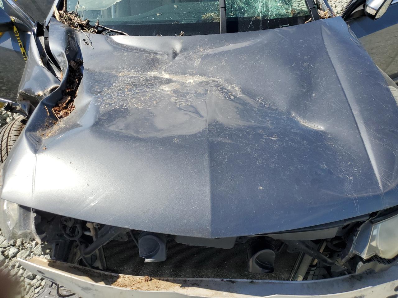 2009 Acura Tsx VIN: JH4CU26609C010949 Lot: 85260305