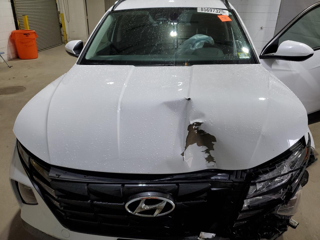 2024 Hyundai Tucson Blue VIN: KM8JBCD10RU183100 Lot: 85697325