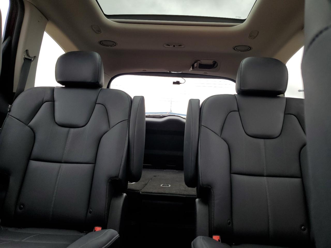 2023 Kia Telluride Sx VIN: 5XYP5DGC5PG382294 Lot: 82263775