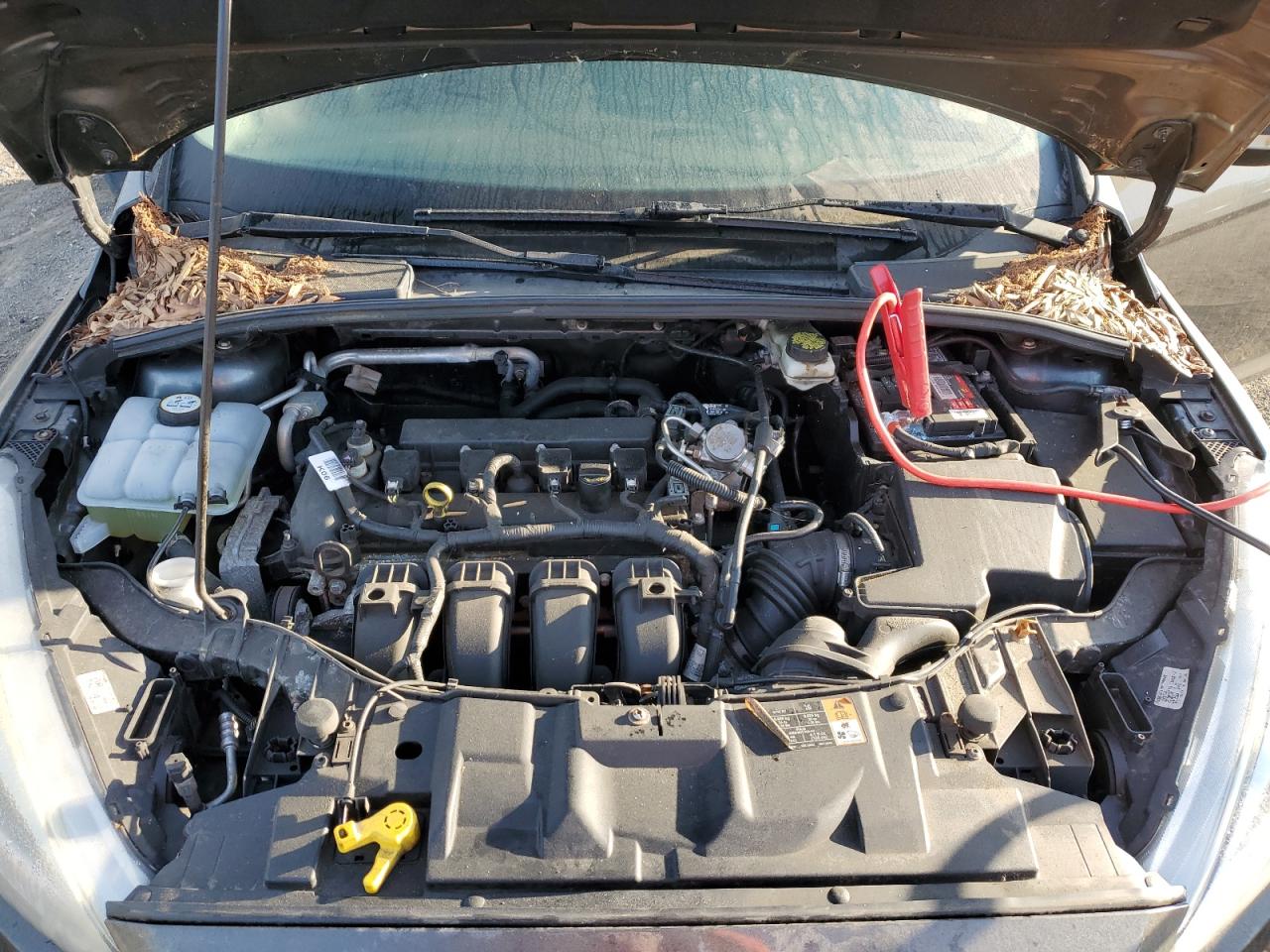 2017 Ford Focus Se VIN: 1FADP3F21HL278252 Lot: 85537645