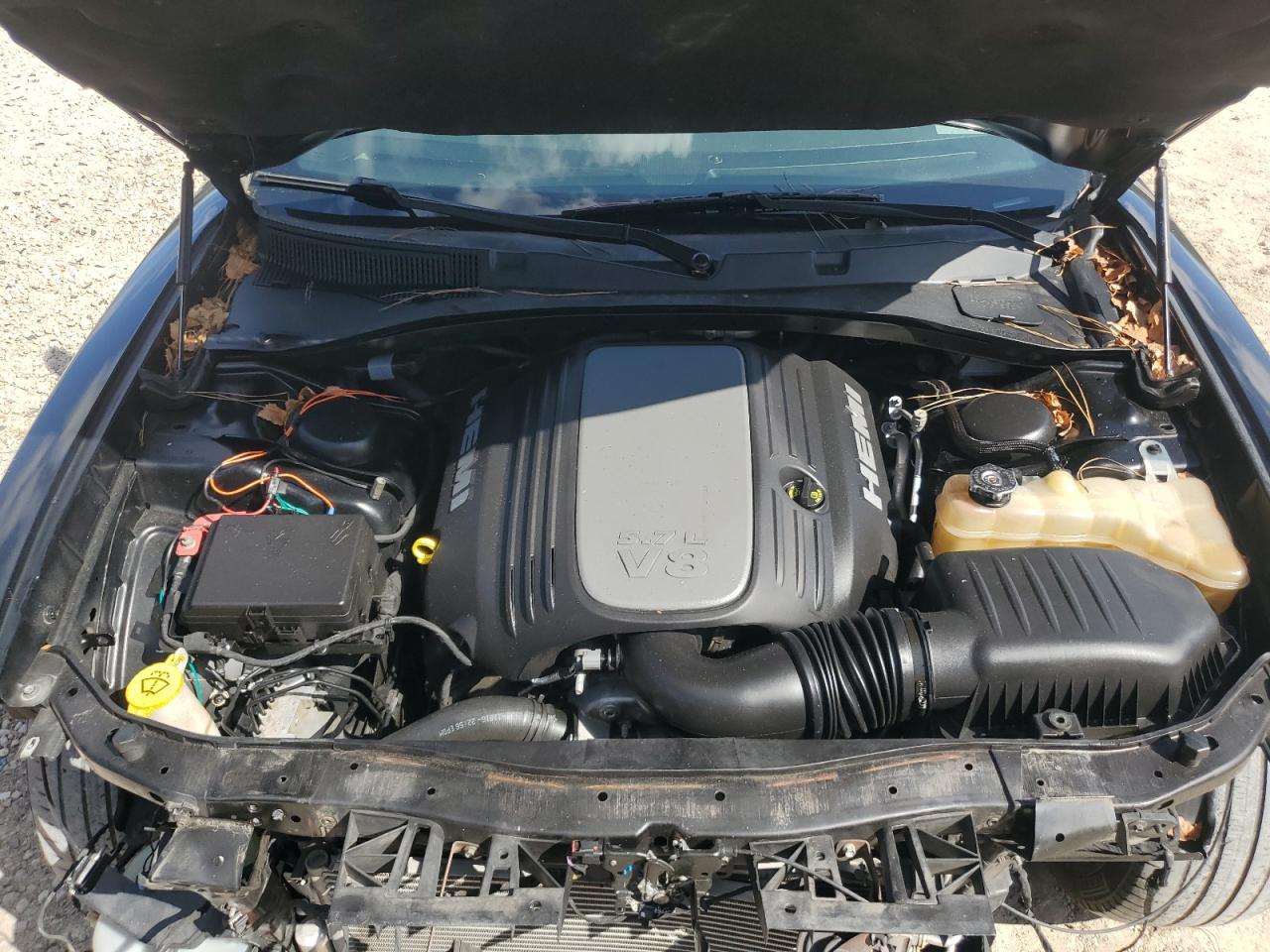 2019 Dodge Charger R/T VIN: 2C3CDXCT5KH527003 Lot: 81921855