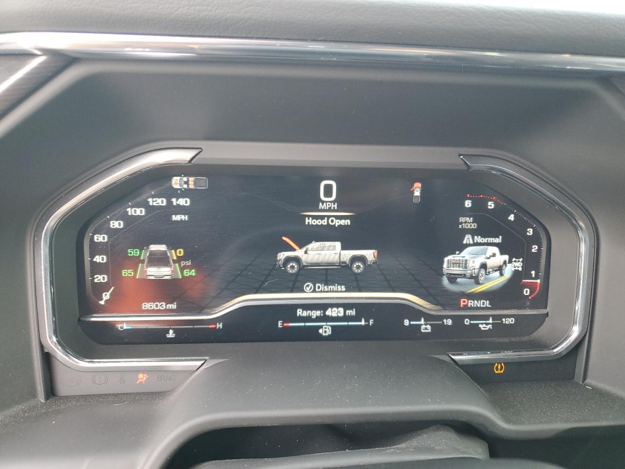 2025 GMC Sierra K2500 Denali Ultimate VIN: 1GT4UXEY5SF246717 Lot: 87373465