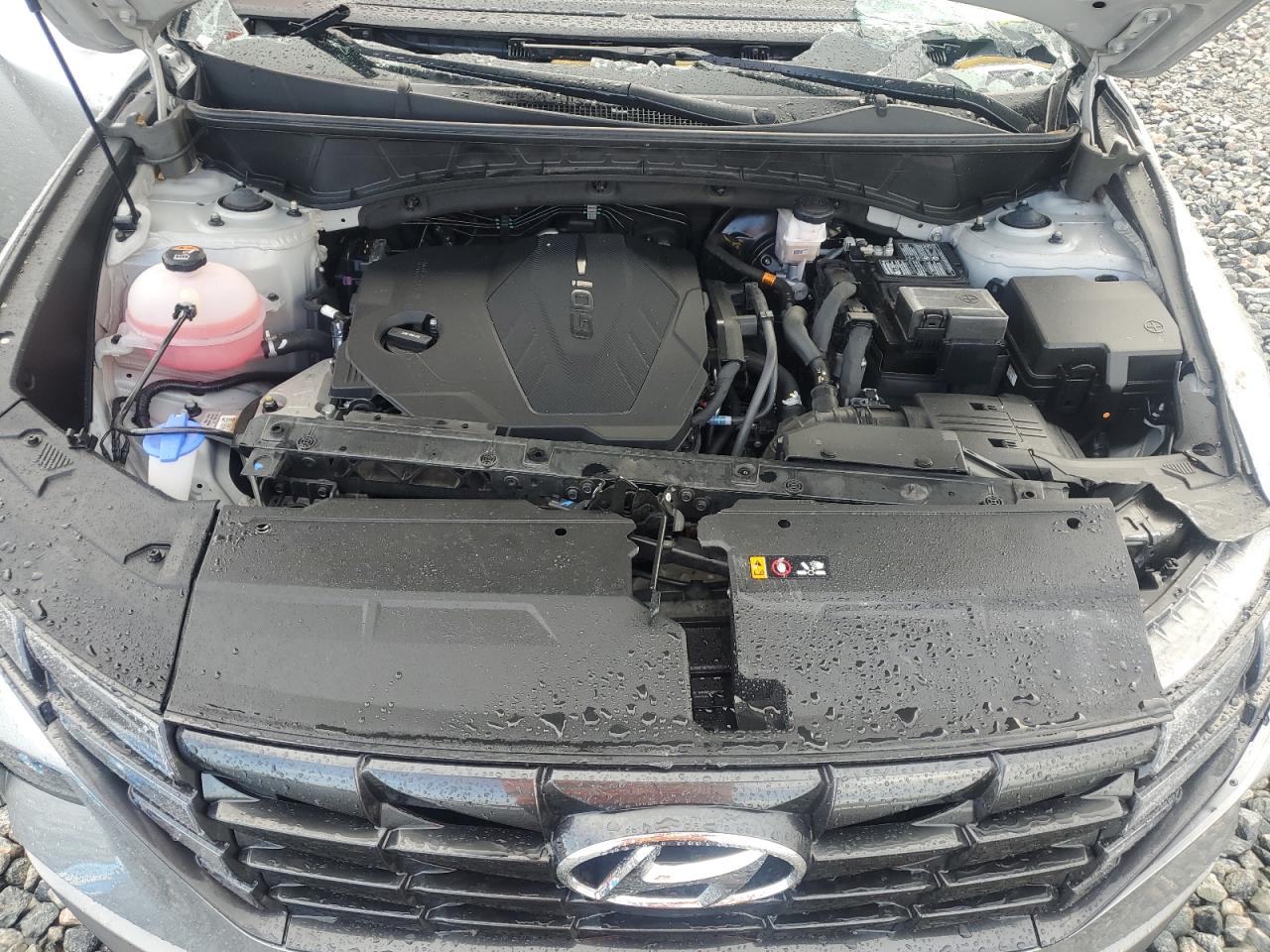 2024 Hyundai Tucson Sel VIN: 5NMJB3DE9RH382953 Lot: 81573065