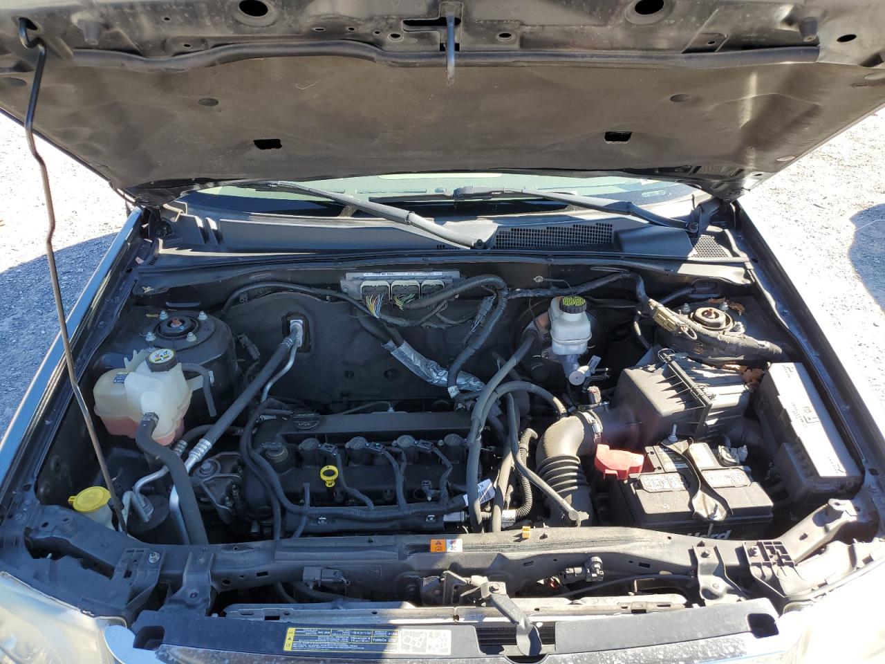 2011 Ford Escape Xlt VIN: 1FMCU9D78BKB18572 Lot: 86116525