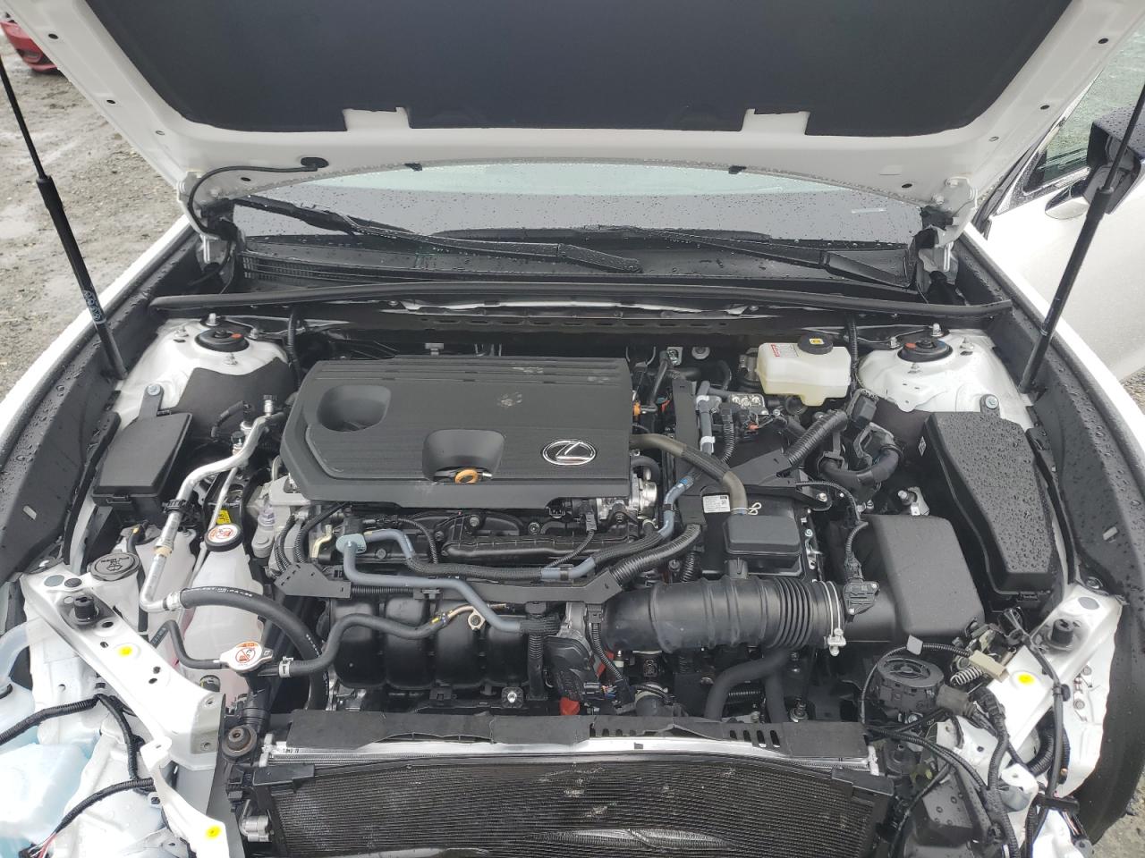 2025 Lexus Es 300H Base VIN: 58AEA1C12SU074825 Lot: 82428905