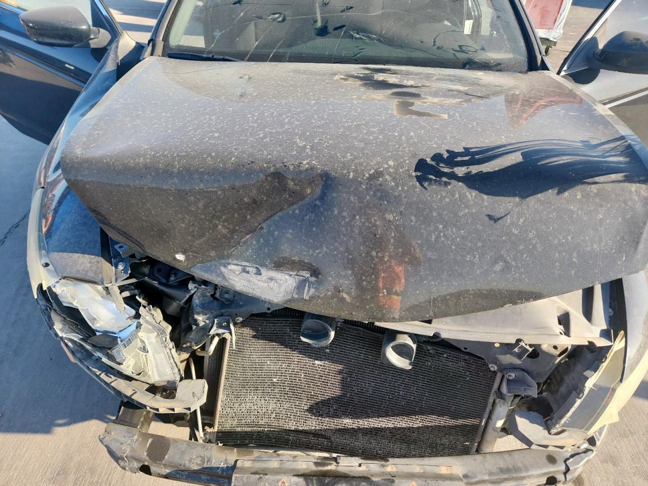 2011 Honda Accord Ex VIN: 1HGCS1B75BA004695 Lot: 85701065