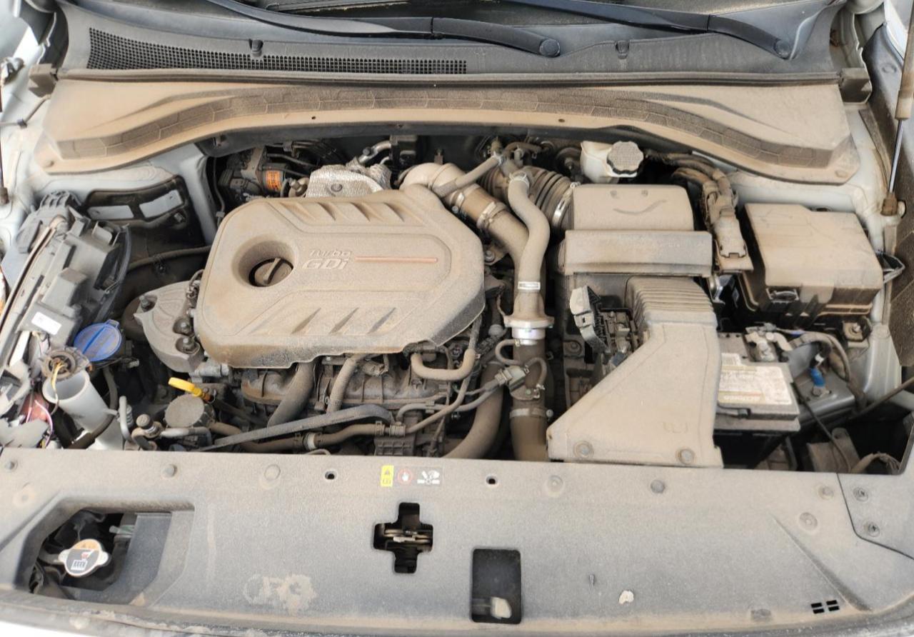2020 Hyundai Santa Fe Limited VIN: 5NMS53AA3LH258956 Lot: 86842665