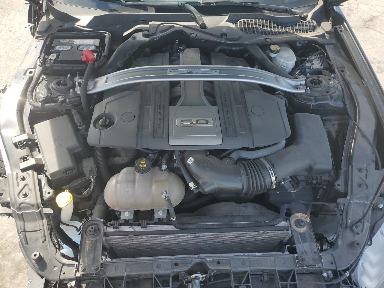 2019 Ford Mustang Gt VIN: 1FA6P8CF0K5173789 Lot: 87062735