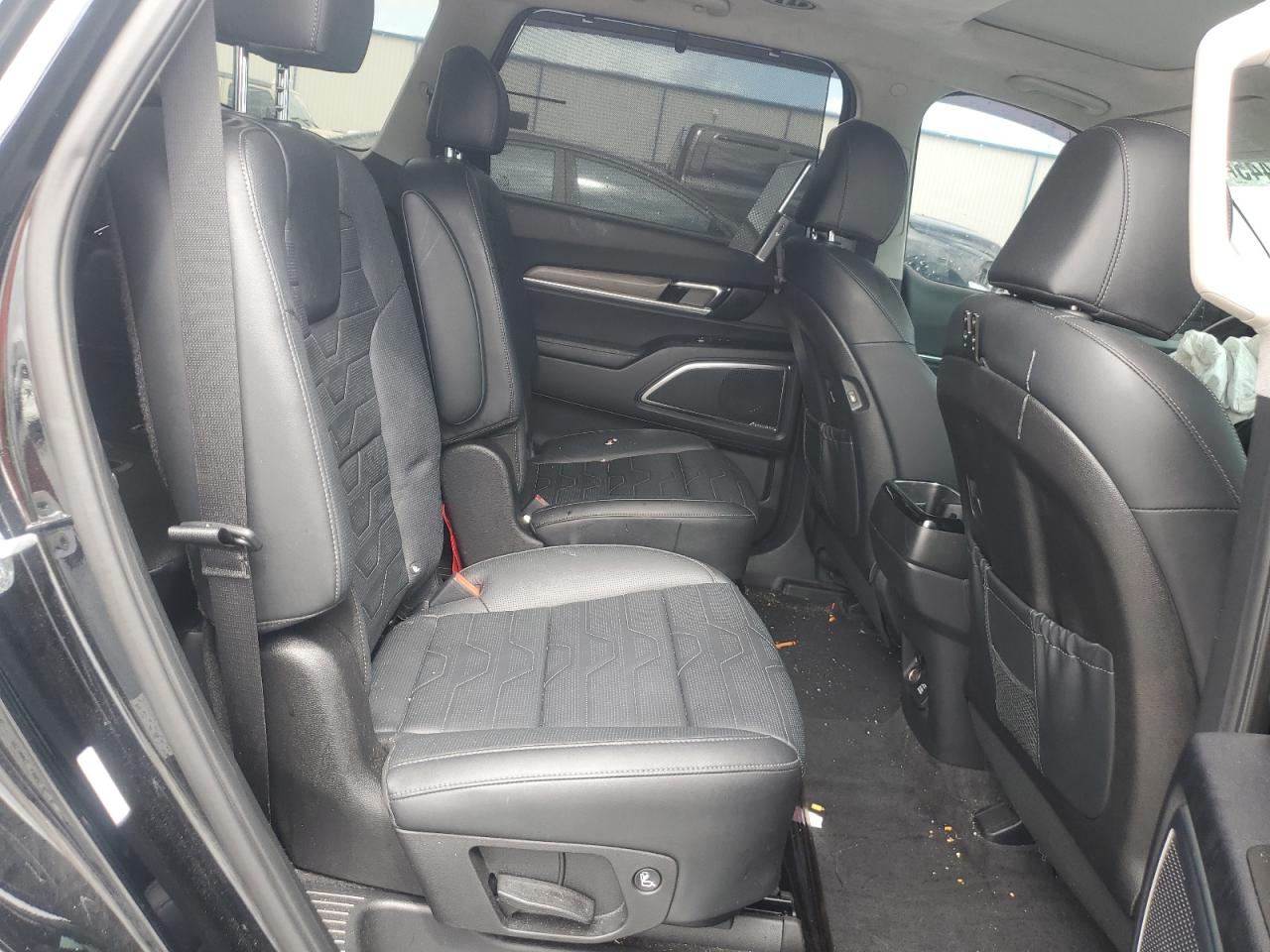 2022 Kia Telluride Sx VIN: 5XYP5DHC6NG309284 Lot: 84994445