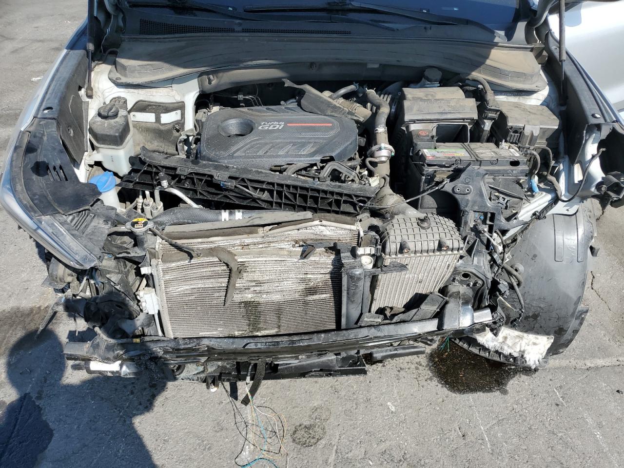 2019 Hyundai Santa Fe Limited VIN: 5NMS53AA4KH040880 Lot: 82329995