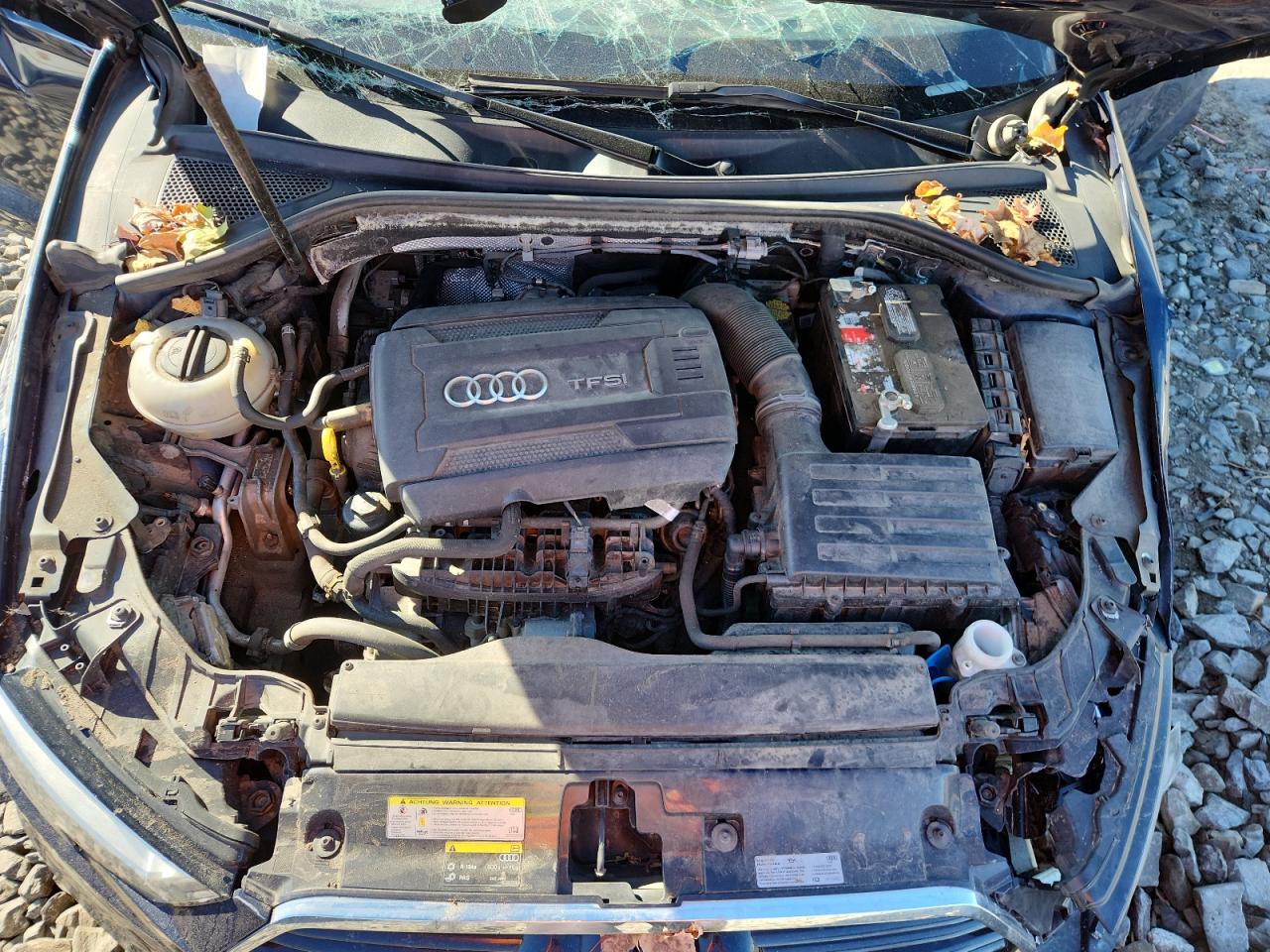 2017 Audi A3 Premium Plus VIN: WAUJ8GFF9H1065921 Lot: 84962615