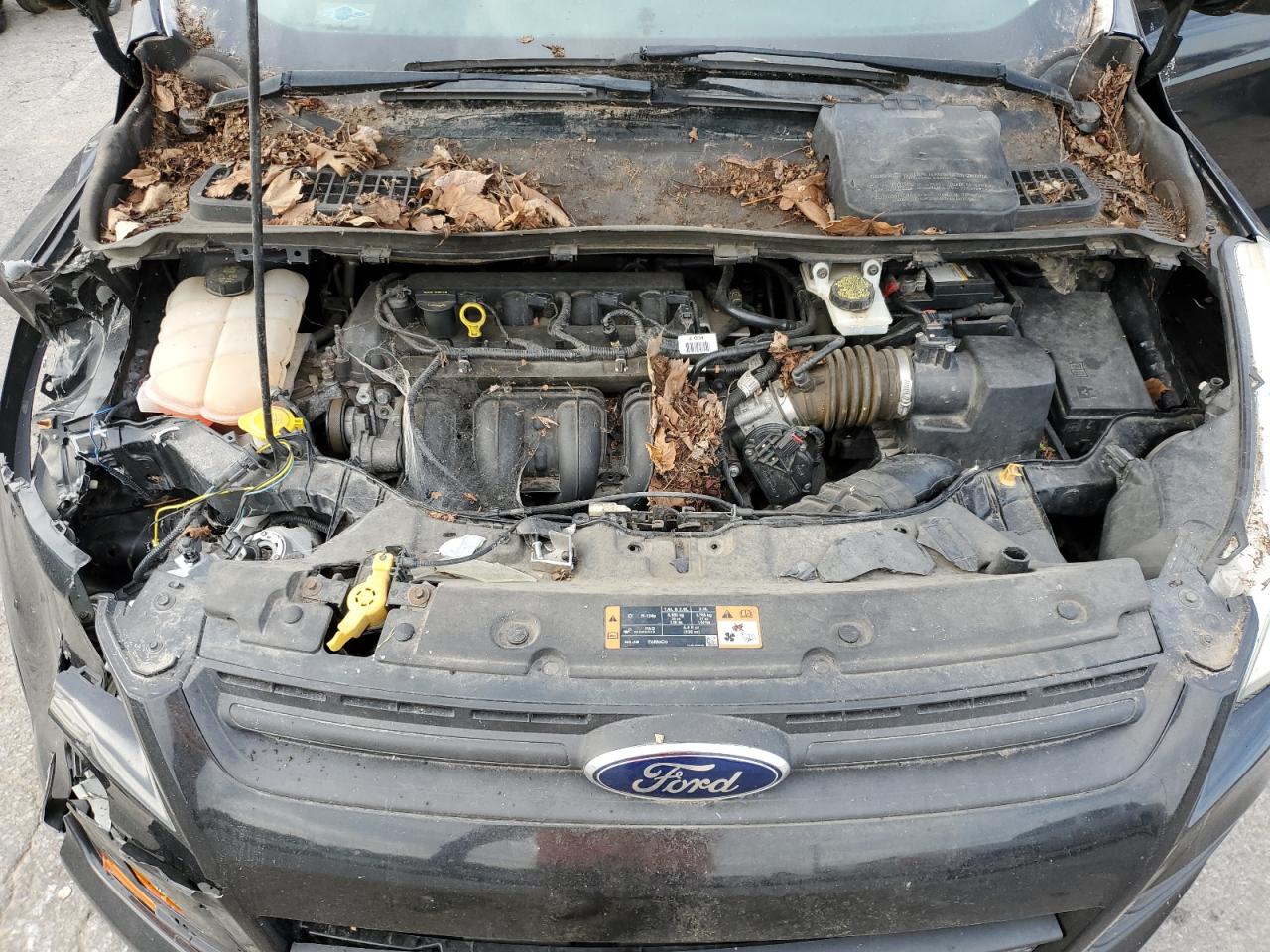 2015 Ford Escape S VIN: 1FMCU0F76FUA06159 Lot: 82550685