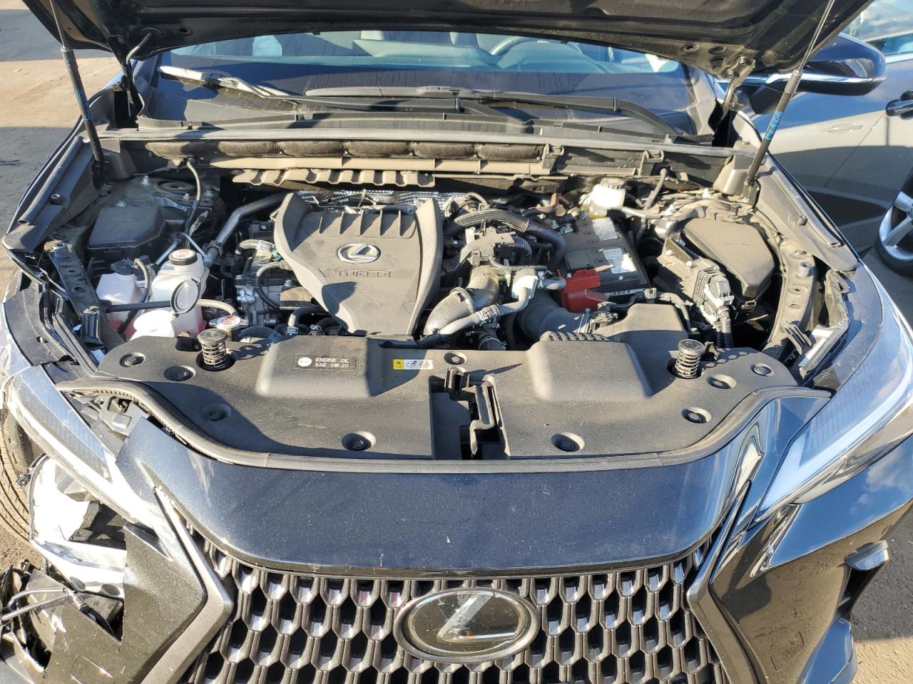 2024 Lexus Nx 350 Premium VIN: 2T2GGCEZ2RC037875 Lot: 89636085