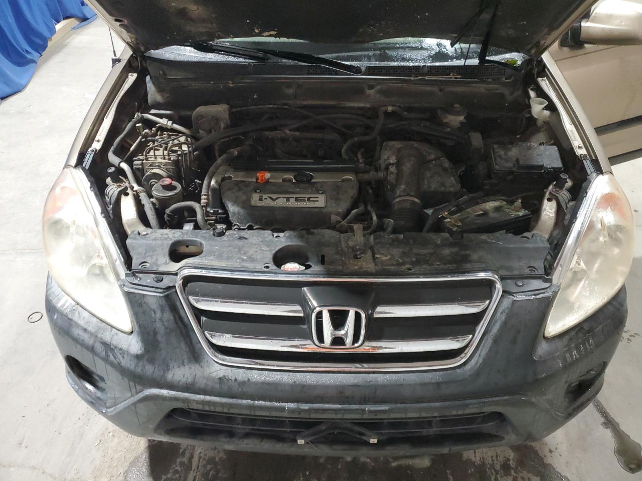 2006 Honda Cr-V Ex VIN: JHLRD78866C024683 Lot: 90028805