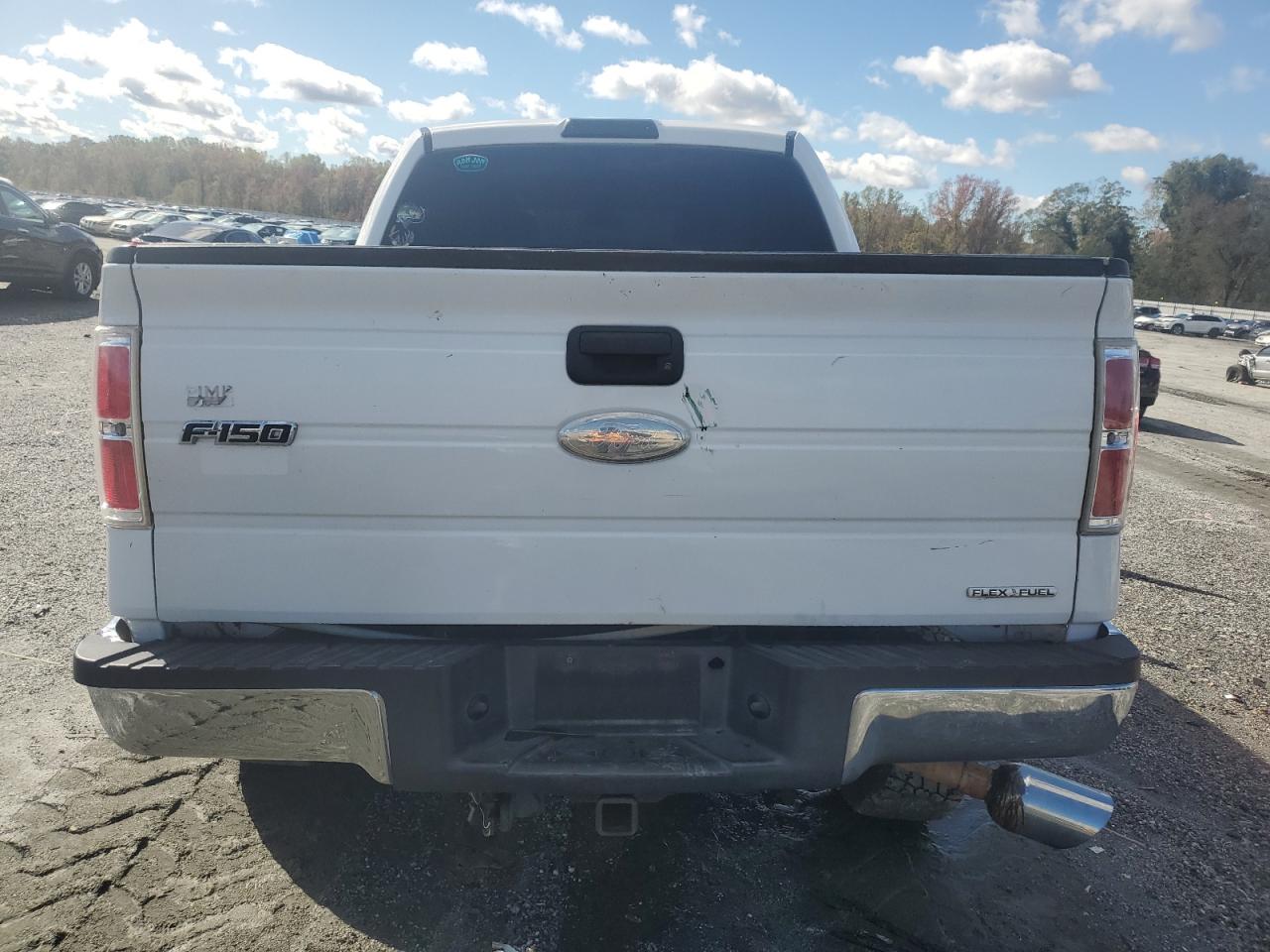 2010 Ford F150 Supercrew VIN: 1FTEW1C88AFB97042 Lot: 90230955