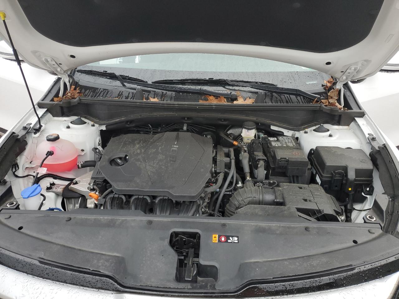 2025 Kia Sportage Ex VIN: 5XYK33DF0SG297736 Lot: 85691265