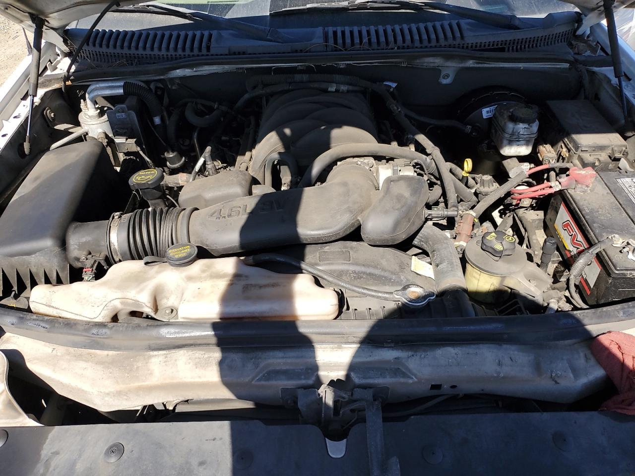2007 Ford Explorer Eddie Bauer VIN: 1FMEU64817UA78508 Lot: 82557185