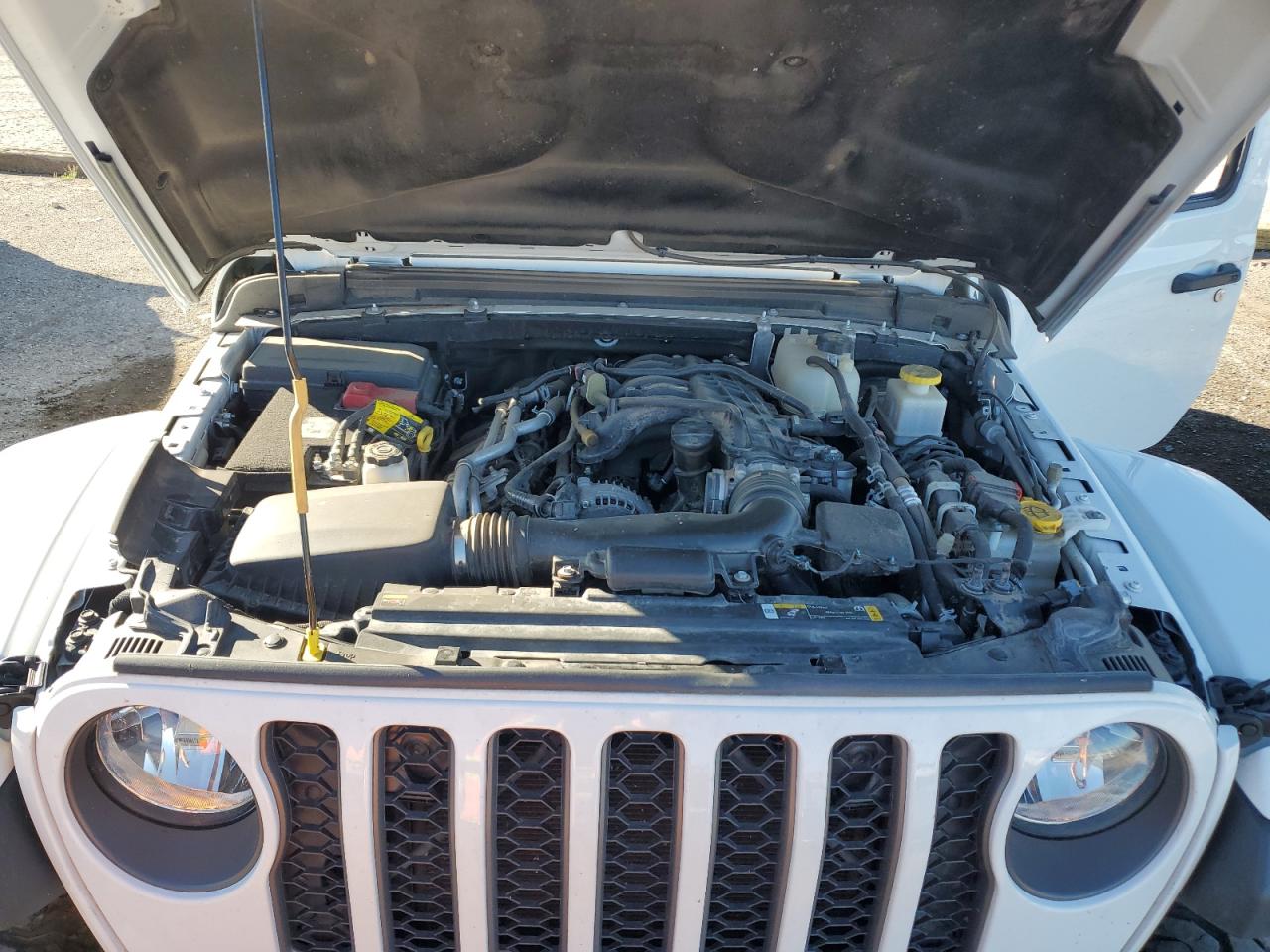 2023 Jeep Gladiator Mojave VIN: 1C6JJTEG9PL524417 Lot: 85198435
