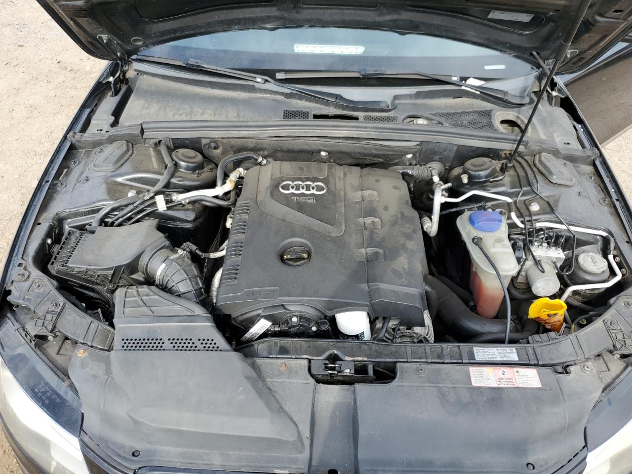 2010 Audi A4 Premium Plus VIN: WAUFFAFL4AN006563 Lot: 82213275