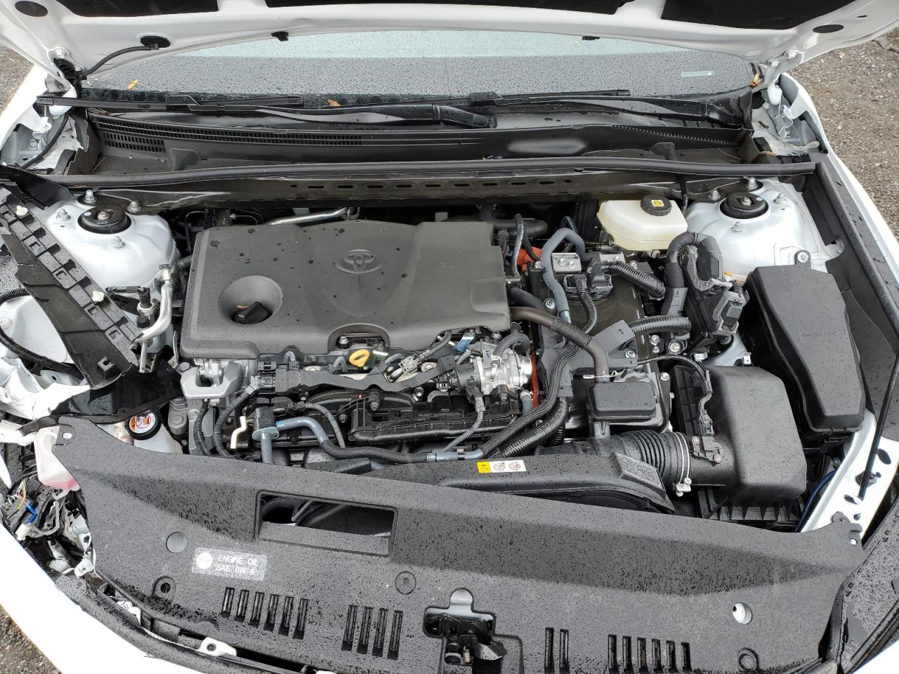 2025 Toyota Camry Xse VIN: 4T1DBADK3SU534193 Lot: 82448685