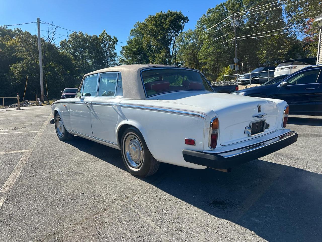 Silver Shadow Silver Shadow