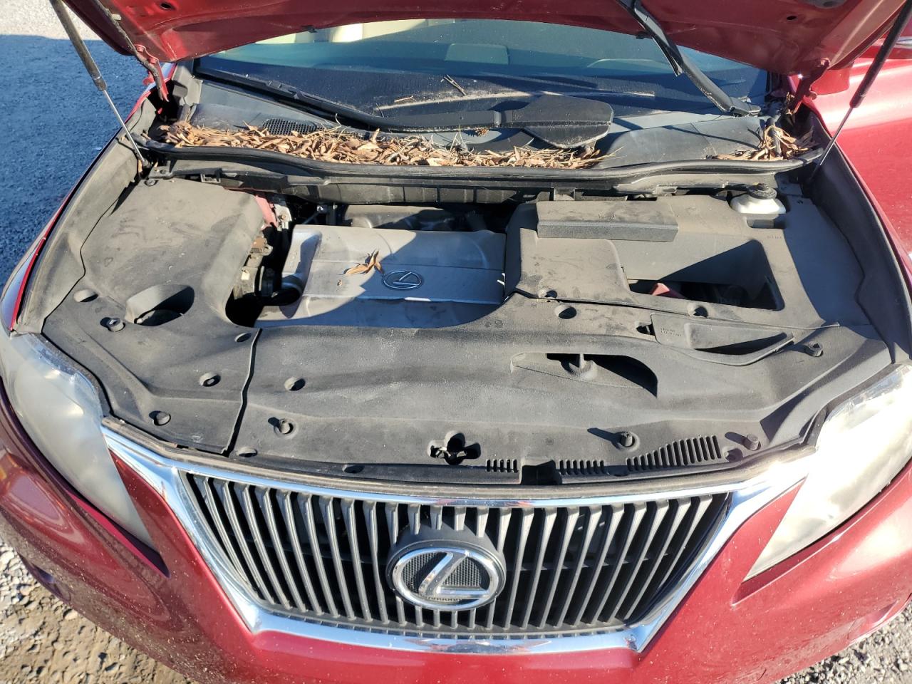 2010 Lexus Rx 350 VIN: 2T2BK1BA3AC010345 Lot: 86267965