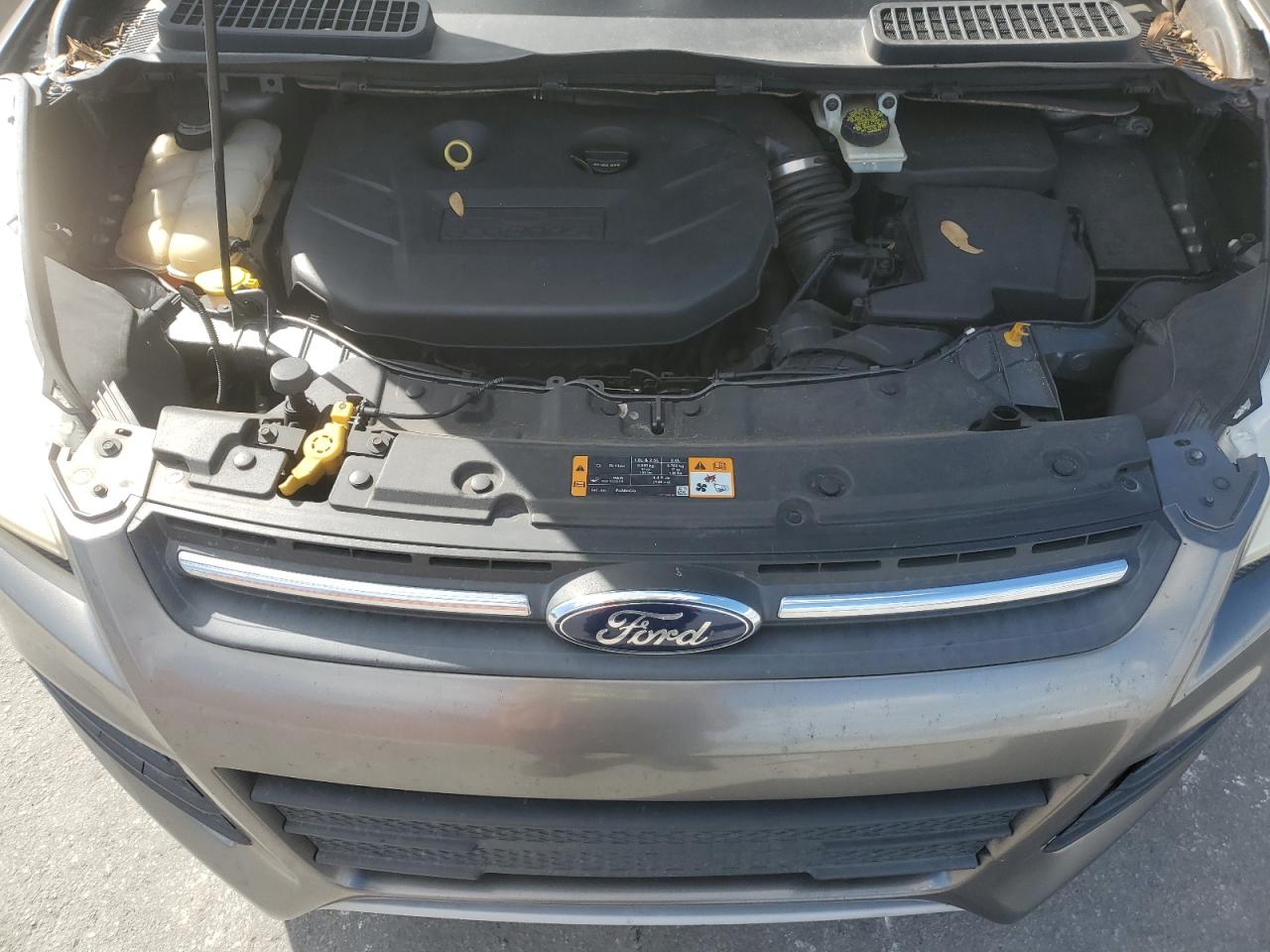 2013 Ford Escape Se VIN: 1FMCU0G97DUB90069 Lot: 90495495