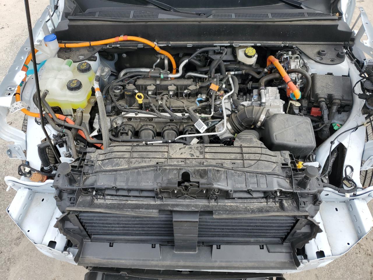 2024 Ford Maverick Xlt VIN: 3FTTW8H36RRB01985 Lot: 86069885