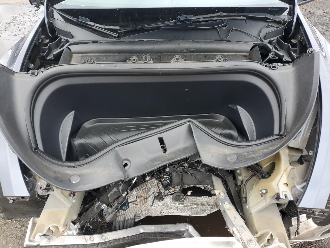 2023 Tesla Model Y VIN: 7SAYGDEE2PF758186 Lot: 90446595