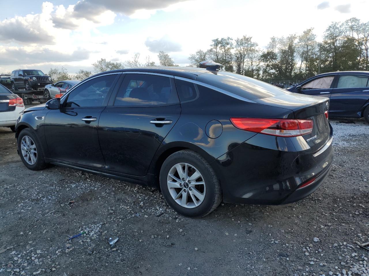 Optima Optima
