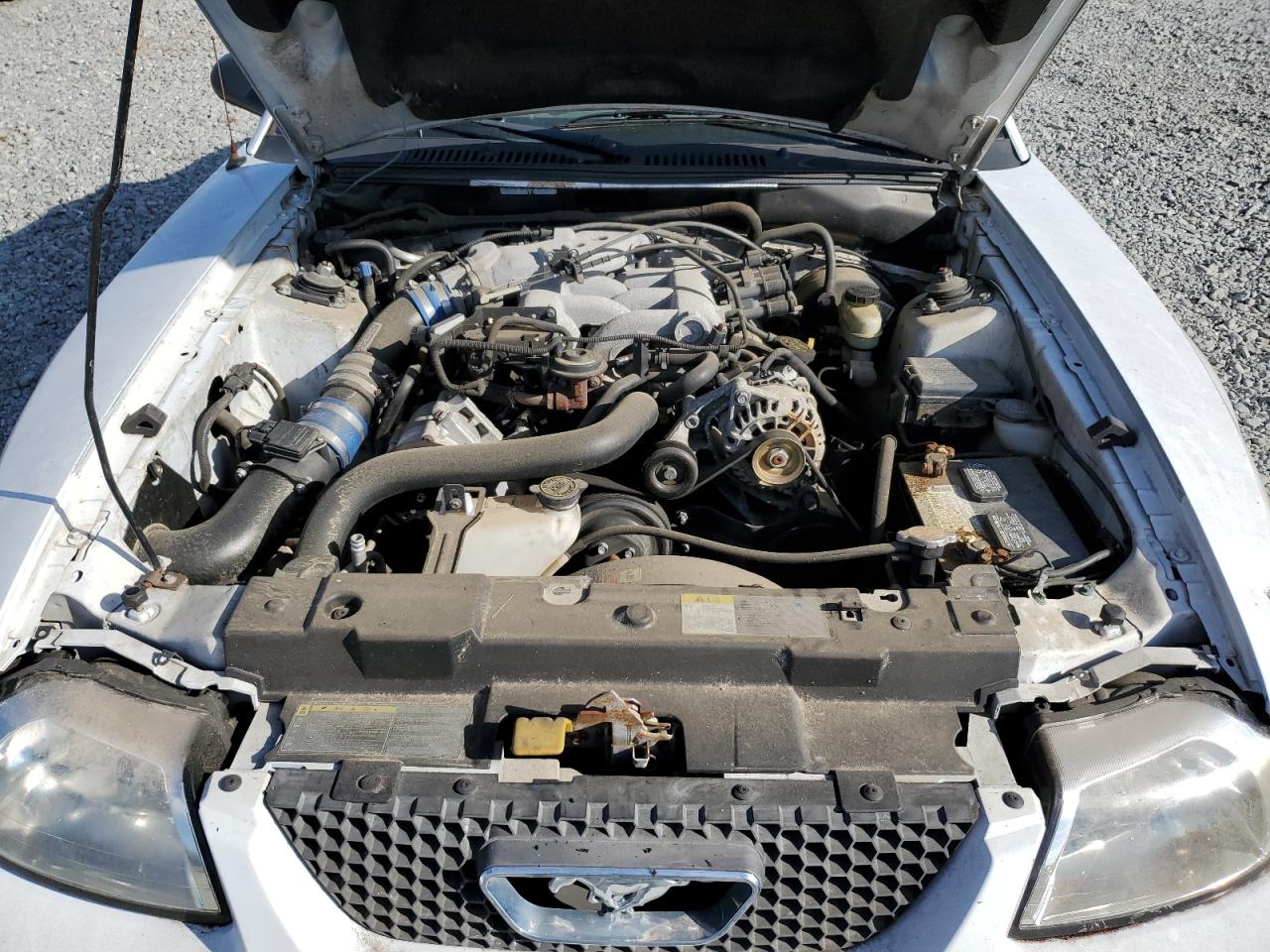 2004 Ford Mustang VIN: 1FAFP44684F135036 Lot: 84864725