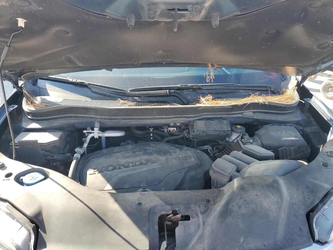 2022 Honda Pilot Exl VIN: 5FNYF5H5XNB006203 Lot: 84880095