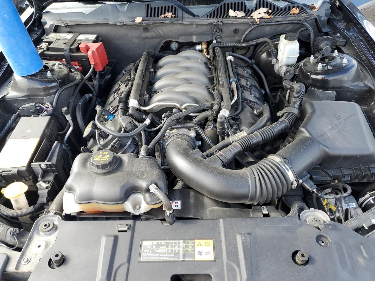 2013 Ford Mustang Gt VIN: 1ZVBP8CF0D5215869 Lot: 89615435