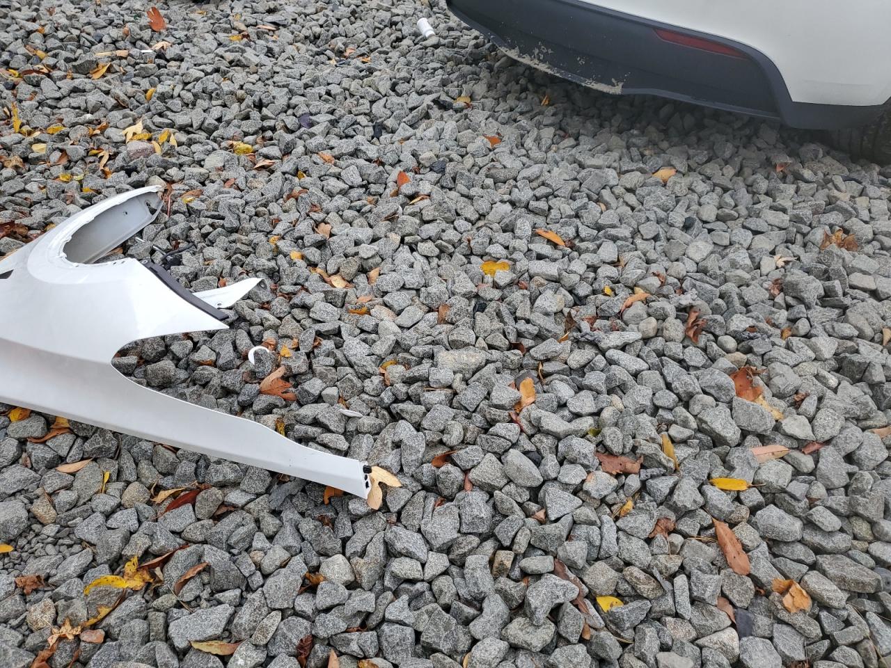 2023 Tesla Model Y VIN: 7SAYGDEE1PF614953 Lot: 90269435