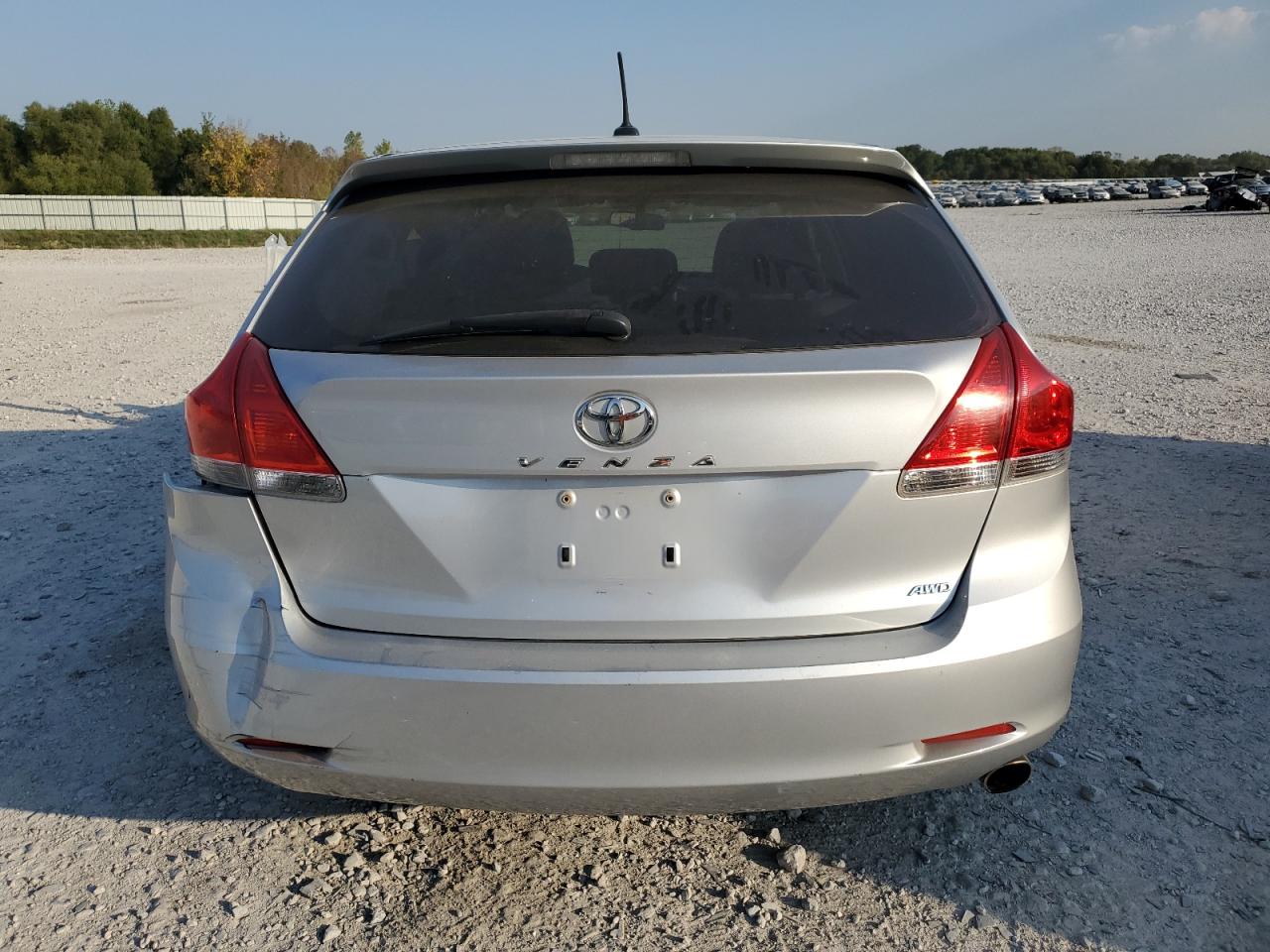 2009 Toyota Venza VIN: 4T3BE11A19U003165 Lot: 84983365